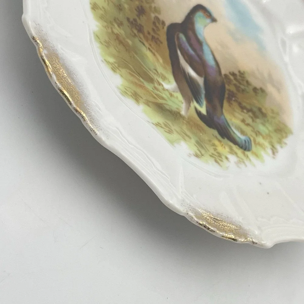 Antique 1920s Silesia‎ Germany Game Bird Scenic Porcelain Cabinet Plate 8